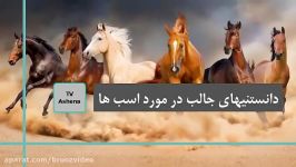 آیا میدانستید؟ حقایقی جالب درباره اسب ها. Top 10 farsi