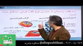 جامع زیست پایه 1 رهپویان