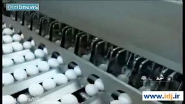 نخستین کارخانه تولید تخم مرغ مایع پودر تخم مرغ ایران