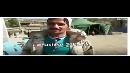 مردی بین جسدهای زلزله کرمانشاه زنده شد