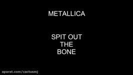 Metallica  Spit Out The Bone Lyrics