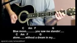 Blue Moon  Elvis Presley  How To Play  Easy Guitar Lesson