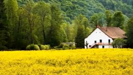 موسیقی فوق العاده زیبا ارامش بخش Fields of Gold