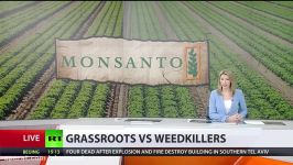 Cancer doesn’t mean anything’ Protest as EU approves Monsanto weed killer