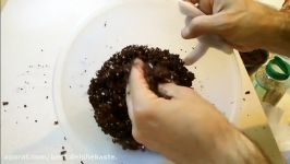 How To Make African Violet Potting Soil  آموزش درست کردن خاک بنفشه آفریقایی