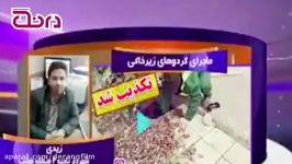 ماجرای انبار گردوها پای درختی در تهران چه بود؟