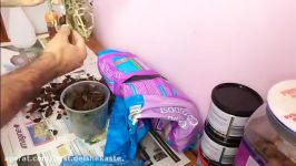 How To Clean And Disnfect Orchids Roots  آموزش تمیز کردن بین بردن ریشه های