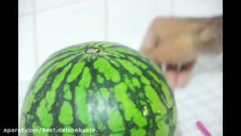How To Make Basket From WaterMelon  آموزش درست کردن سبد میوه هندوانه