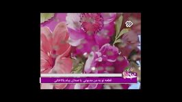 پیام بالاخانی شبکه2 رنده باد زندگی تو به من مدیونی