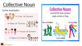 گرامر 1  آموزش گرامر انگلیسی Collective Noun  اسم جمع