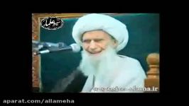 علامه امینی توسط دستان امام علی ع حوض کوثر