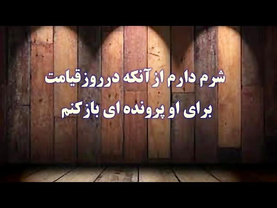 انعکاس نور خدا به مناسبت روز جهانی معلولین