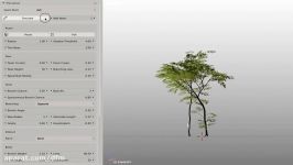 The Grove 3D tree growing software