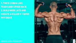 7 Scientific Back Exercises Youre NOT Doing  EVERY MUSCLE Activated