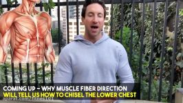 How To Get The Chiseled Lower Chest Cup