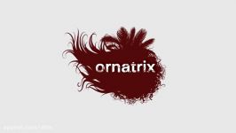 Ornatrix V3 from Ephere