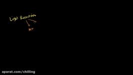 Photosynthesis Calvin Cycle