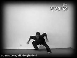 نینجوتسو Ninja.Ghaderi Sensei 1384