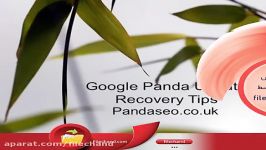 آموزش سئو پاندا گوگل seo panda google