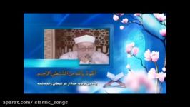 شعبان عبدالعزیز صیاد  سوره توبه آیات 40 38