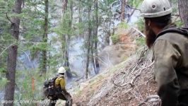 2016 WFSTAR Identifying Hazard Trees and their Target Zones