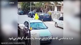 ببینید دزد بدشانسی هنگام دزدی توسط یک سگ گرفتار می شود