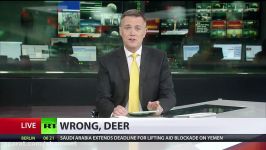 Wrong deer Finnish media fall for ‘Soviet battle moose’ hoax