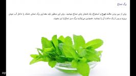 موثرترین گیاهان دارویی برای مقابله تهوع