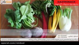 نحوه کار آبمیوه گیری گاستروبک 40127 sinbod.com