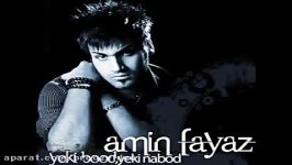 Amin Fayyaz