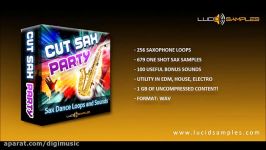 Saxophone Samples for Dance House EDM Producers