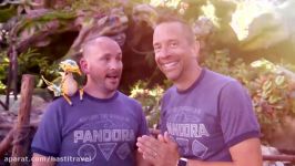 5 Tips for Exploring Pandora – The World of Avatar at Walt Disney World  Expedia