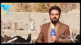 آنفلونزای پرندگان در اصفهان