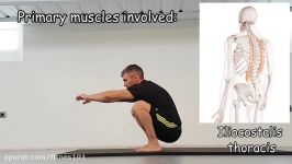 THE COMPLETE STRETCHING VIDEO GUIDE  UPPER AND MIDDLE BACK STRETCHES