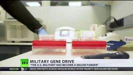 US developing military gene driver may be powerful carrier for bioweapon – expert