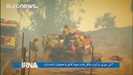 آتش سوزی مراتع جنگل ها در حومه کالیفرنیا همچنان ادامه