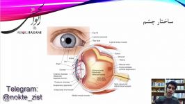 آموزش زیست کنکور،حل تست کنکور ۹۰ خارج کشور، ساختار چشم
