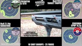 Umarex Gauntlet 2550100 Yard Review and Pellet Test