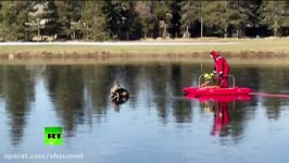 Red sleigh pushing the deer Oregon firefighter performs rescue op on frozen lake