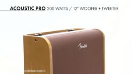 آمپلی فایر فندر سری Acoustic Pro