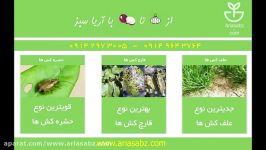 یو46کمبی  U46 Combi، علف کش موثر مزرعه گندم جو