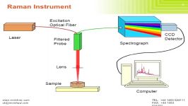 Raman Spectroscopy