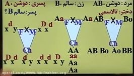 مبحث دودمانه زیست02166028126