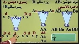 مبحث دودمانه زیست02166028126