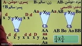 مبحث دودمانه زیست02166028126