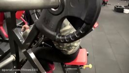 GROW the REAR DELTSBACKBICEPS  HIGH Volume