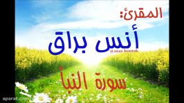 سورة النبأ 2017  أنس براق  