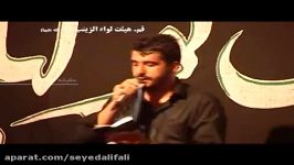 سید علی فالی  خداوند دل ها علی  واحد