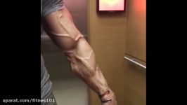 The Most Vascular Bodybuilders EVER  Crazy Vascularity Compilation