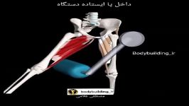 داخل پا ایستاده دستگاه Standing hip adduction machin